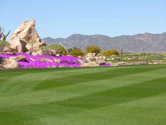 Revente - Villa - Cuevas del Almanzora - Villaricos