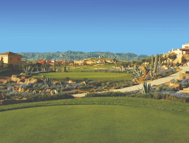 Nouvelle construction - Villa - Cuevas del Almanzora - Villaricos