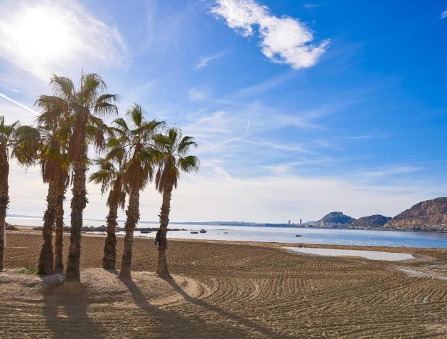 Nouvelle construction - Villa - Els Poblets - Partida Barranquets