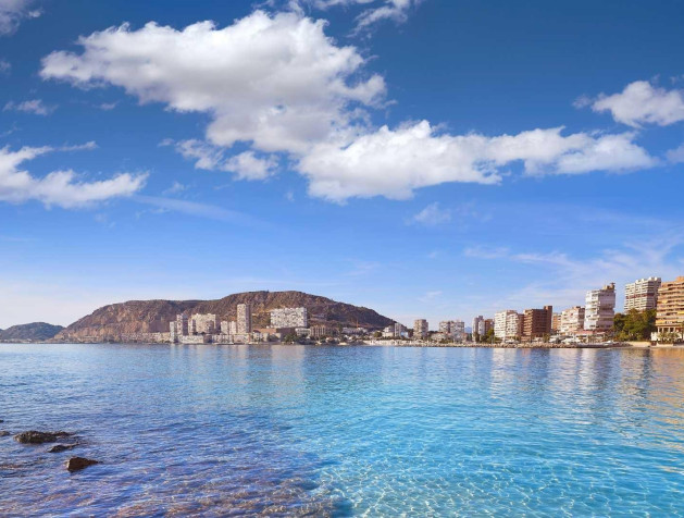 Nouvelle construction - Villa - Els Poblets - Partida Barranquets