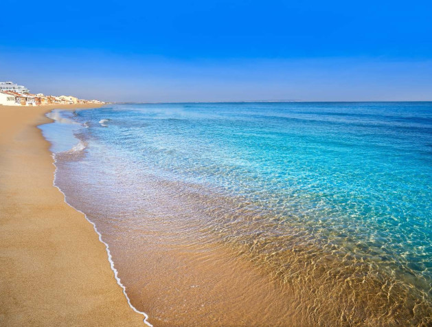 New Build - Apartment - Guardamar del Segura