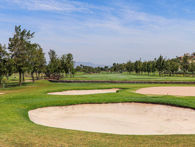 New Build - Villa - Rojales - Ciudad Quesada