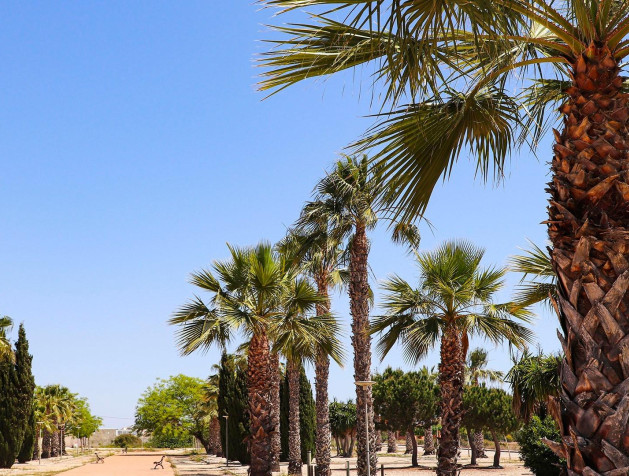 Nouvelle construction - Villa - San Fulgencio - La Escuera