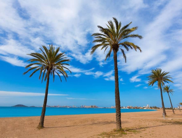 Nouvelle construction - Villa - Torre Pacheco - Roldán