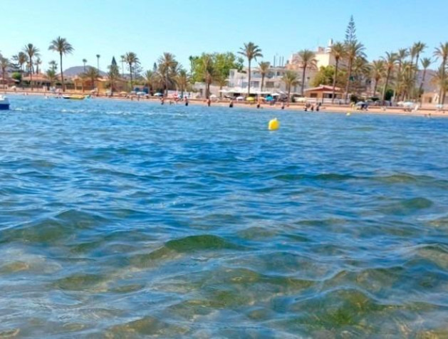 Nouvelle construction - Villa - Torre Pacheco - Roldán