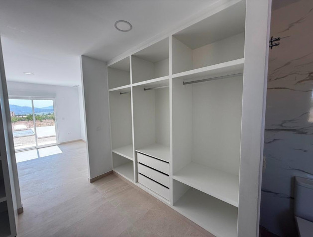 Nouvelle construction - Villa - Pinoso - Camino Del Prado