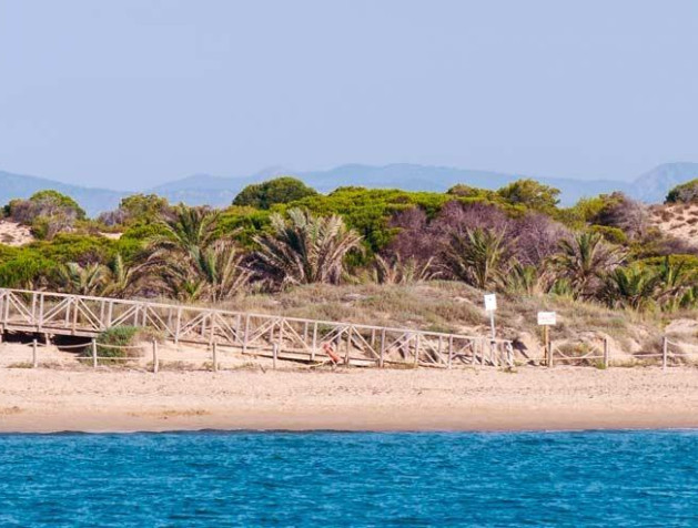 Nouvelle construction - Attique - Guardamar del Segura - Pueblo