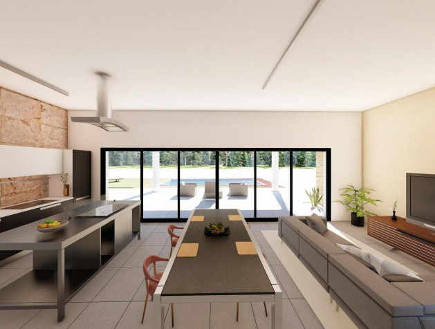 New Build - Villa - Pinoso - Campo