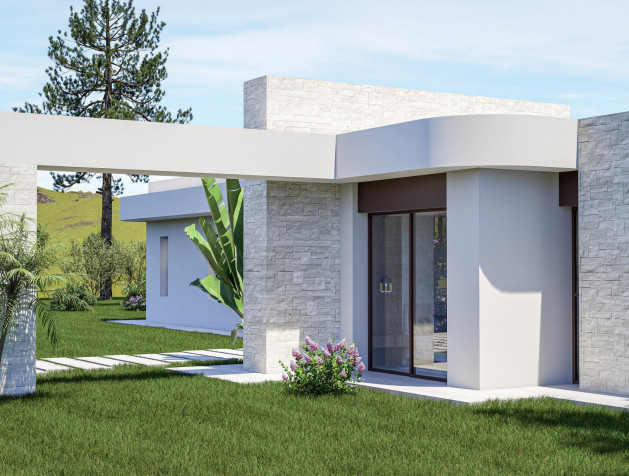 Nouvelle construction - Villa - Pinoso - Lel