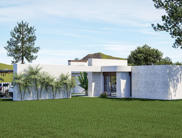 Nouvelle construction - Villa - Pinoso - Lel