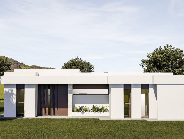 Nouvelle construction - Villa - Pinoso - Lel