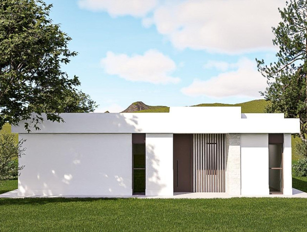 Nouvelle construction - Villa - Pinoso - Lel