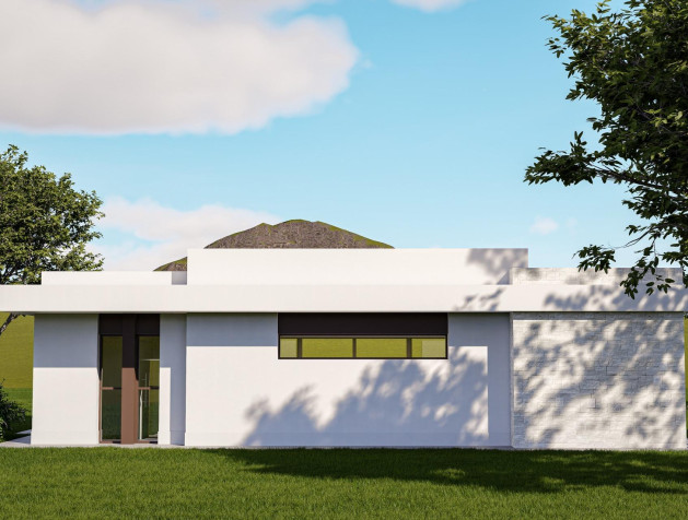 Nouvelle construction - Villa - Pinoso - Lel