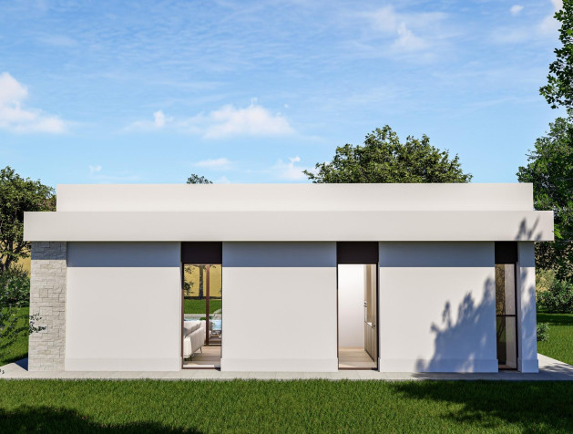 Nouvelle construction - Villa - Pinoso - Lel