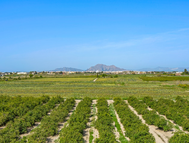 Resale - 1. Apartment / flat - Daya Nueva - Costa Blanca South