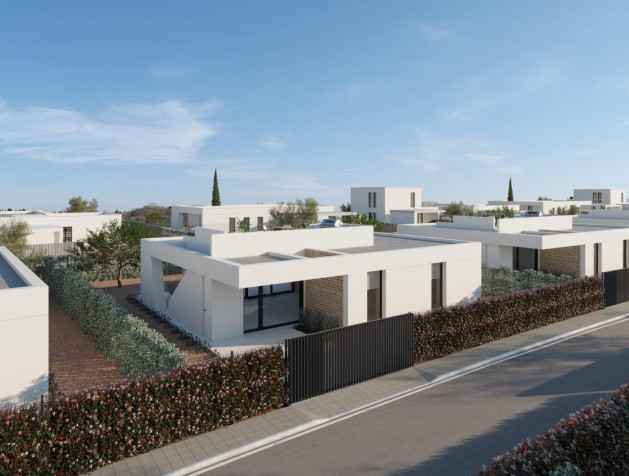 New Build - Villa - Fuente Álamo - Hacienda del Alamo
