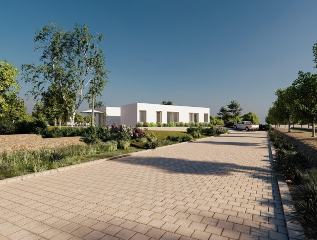 New Build - Villa - Benejúzar - alta