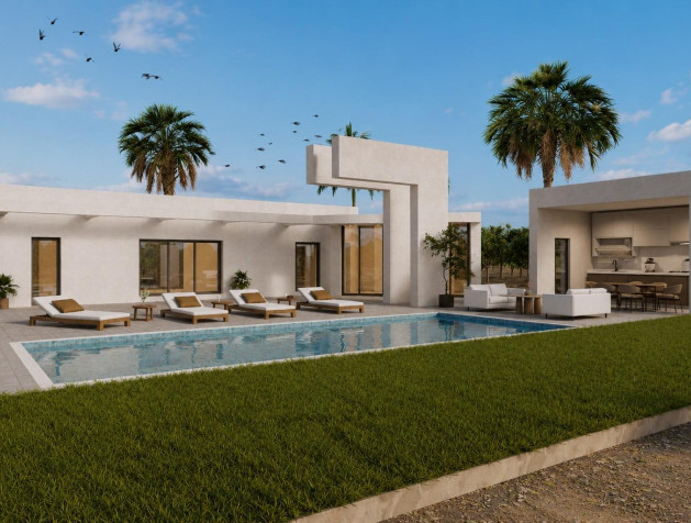 New Build - Villa - Benejúzar - alta