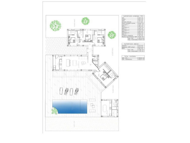 New Build - Villa - Benejúzar - alta
