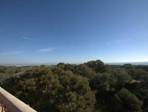 New Build - Apartment - Guardamar del Segura - Pueblo