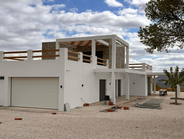 New Build - Villa - Pinoso - Casas Pastor