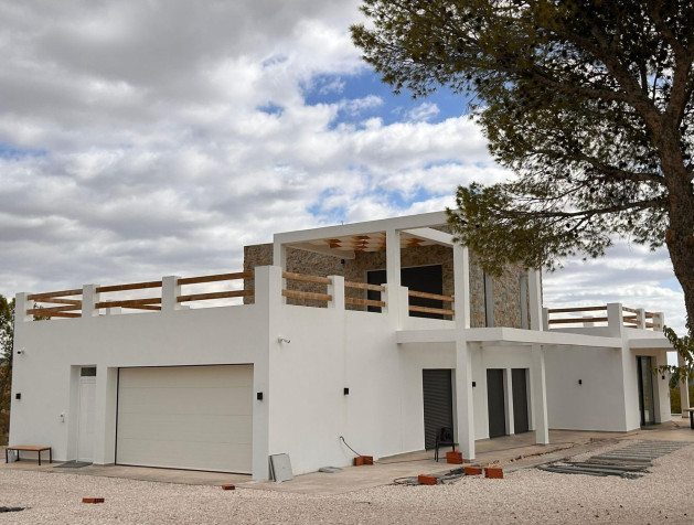 New Build - Villa - Pinoso - Casas Pastor