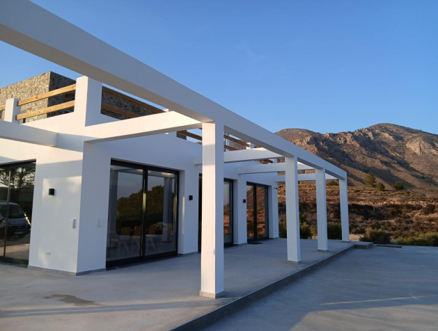 New Build - Villa - Pinoso - Casas Pastor