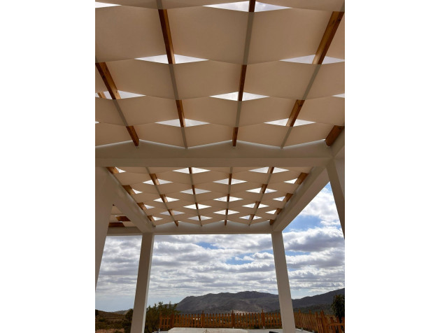 New Build - Villa - Pinoso - Casas Pastor