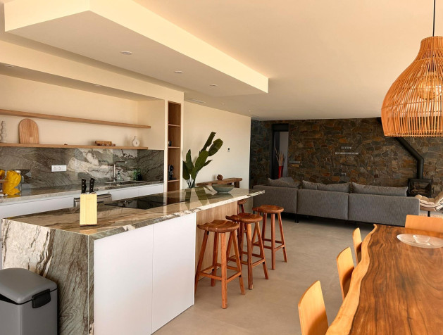 New Build - Villa - Pinoso - Casas Pastor