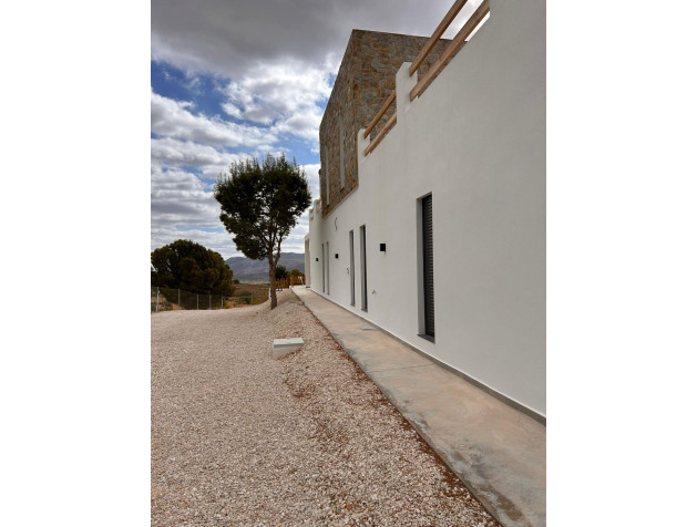 New Build - Villa - Pinoso - Casas Pastor