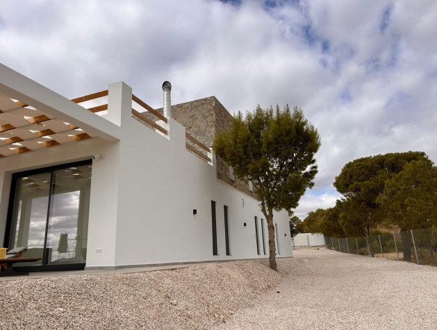 New Build - Villa - Pinoso - Casas Pastor