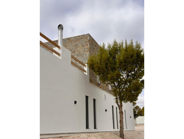 New Build - Villa - Pinoso - Casas Pastor