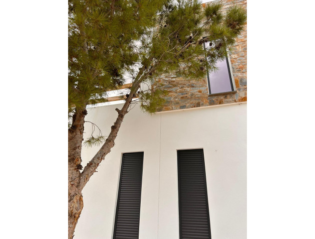 New Build - Villa - Pinoso - Casas Pastor