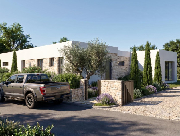 New Build - Villa - Pinoso - Casas Pastor