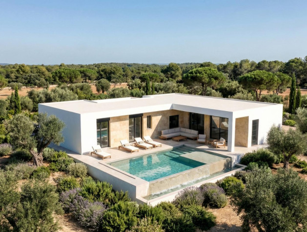 New Build - Villa - Pinoso - Casas Pastor