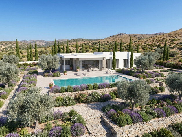 New Build - Villa - Pinoso - Casas Pastor