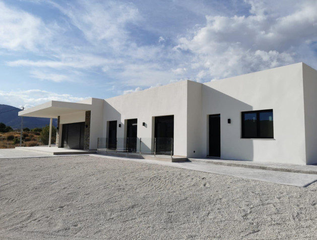 New Build - Villa - Pinoso - Casas Pastor