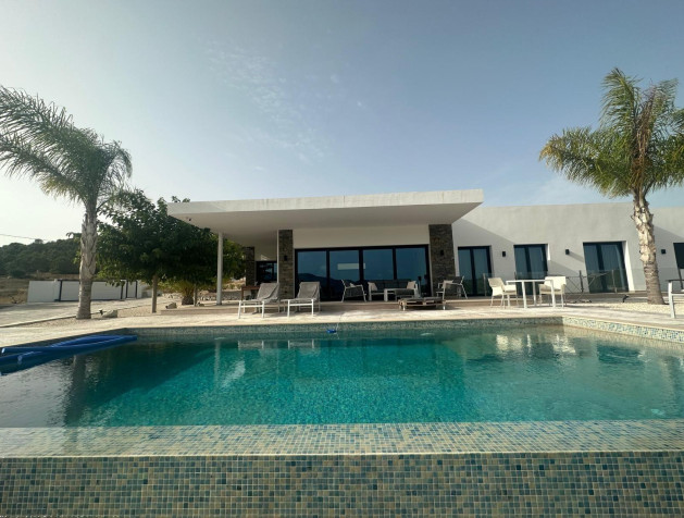 New Build - Villa - Pinoso - Casas Pastor
