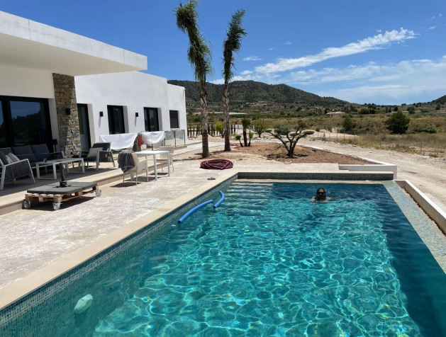 New Build - Villa - Pinoso - Casas Pastor