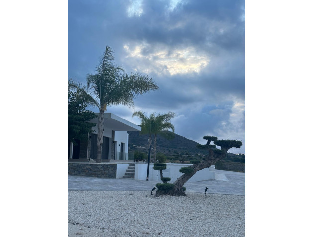 New Build - Villa - Pinoso - Casas Pastor