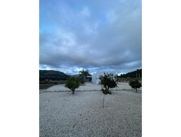 New Build - Villa - Pinoso - Casas Pastor