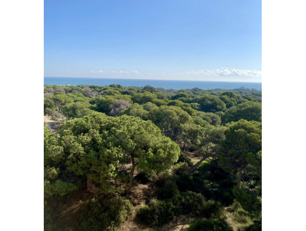 New Build - Penthouse - Guardamar del Segura - Centro