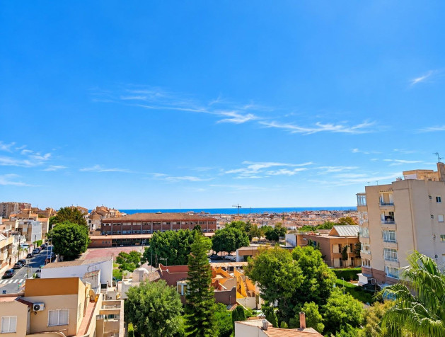 New Build - Apartment - Torrevieja - Nueva Torrevieja