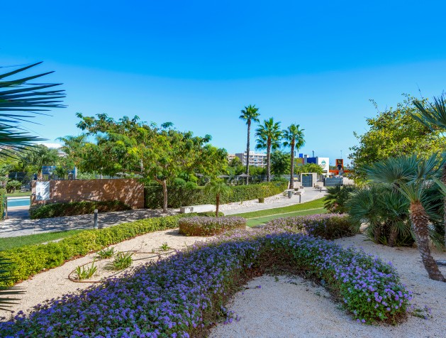 Resale - Apartment - Mil Palmeras